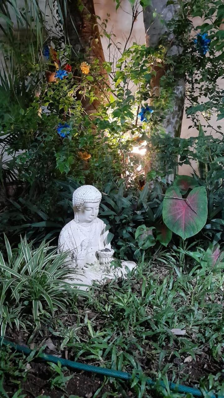 Casa Atrapasuenos Otel Valladolid  Dış mekan fotoğraf