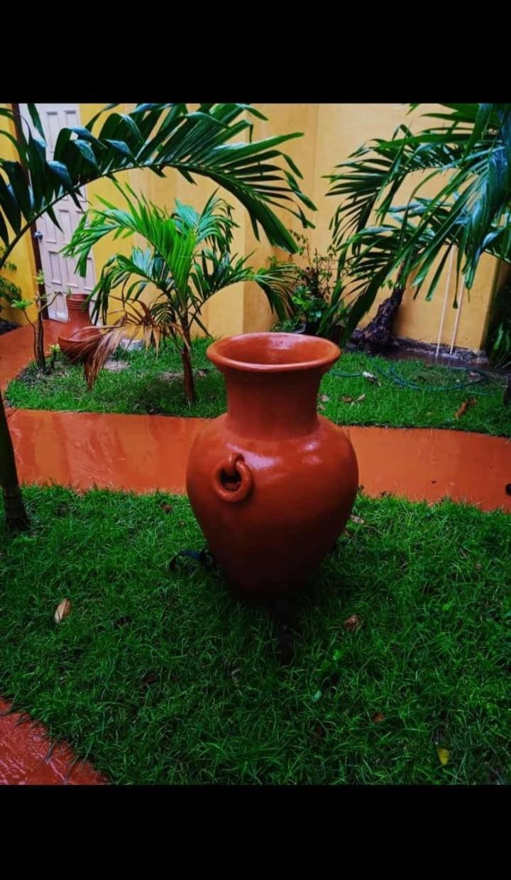 Casa Atrapasuenos Otel Valladolid  Dış mekan fotoğraf